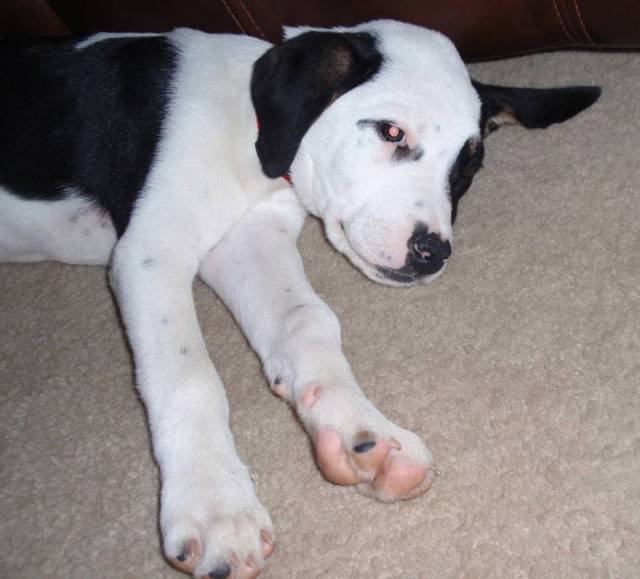 She stops running full speed sometimes... 