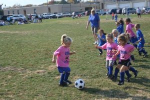 Watch out for the herd!