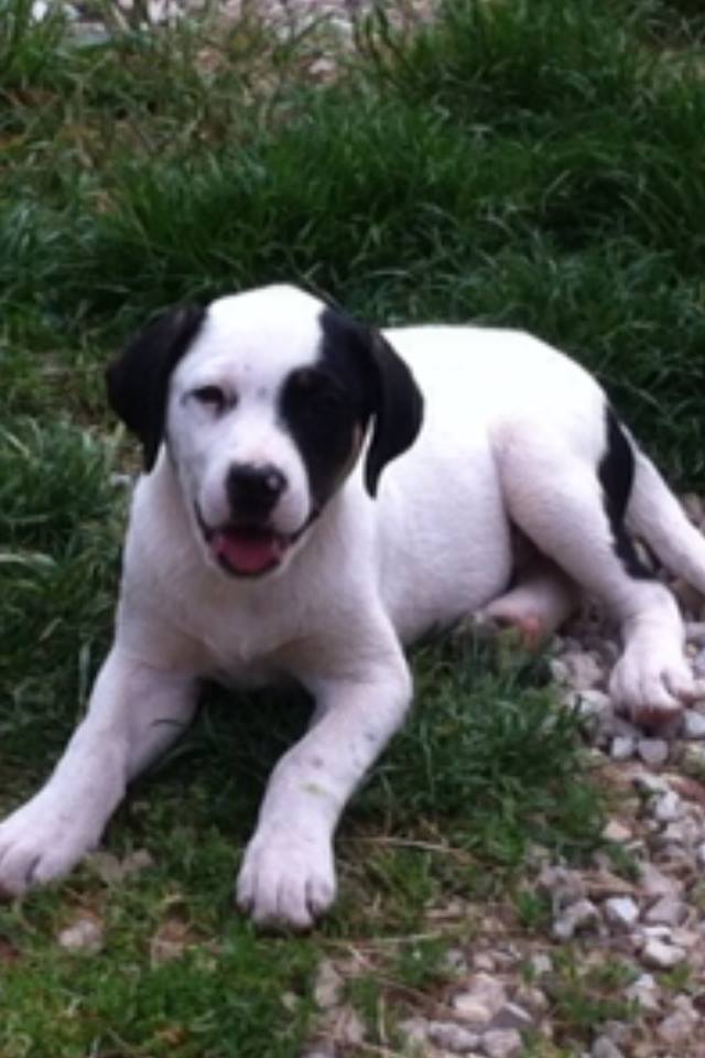 I'm much bigger nowadays...