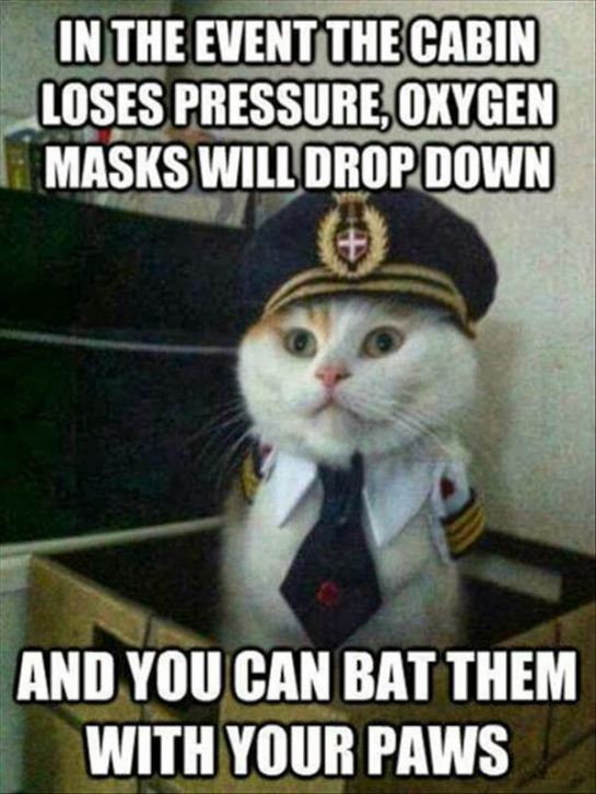 3a0fd3dcc37480cec11de51a57e71b59