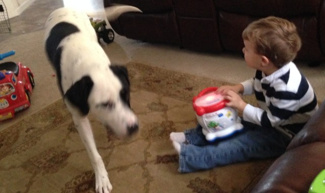 They kind of hate each other...