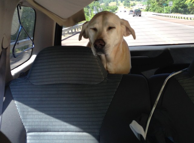 DErrrrrrrrrrrrrrrrrrrr!